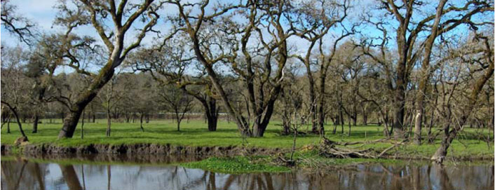 Laguna de Santa Rosa Online Store