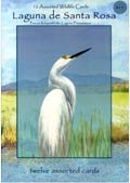 Laguna Greeting Cards